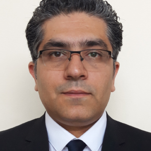 Prof. Madjid Karimirad (photo)